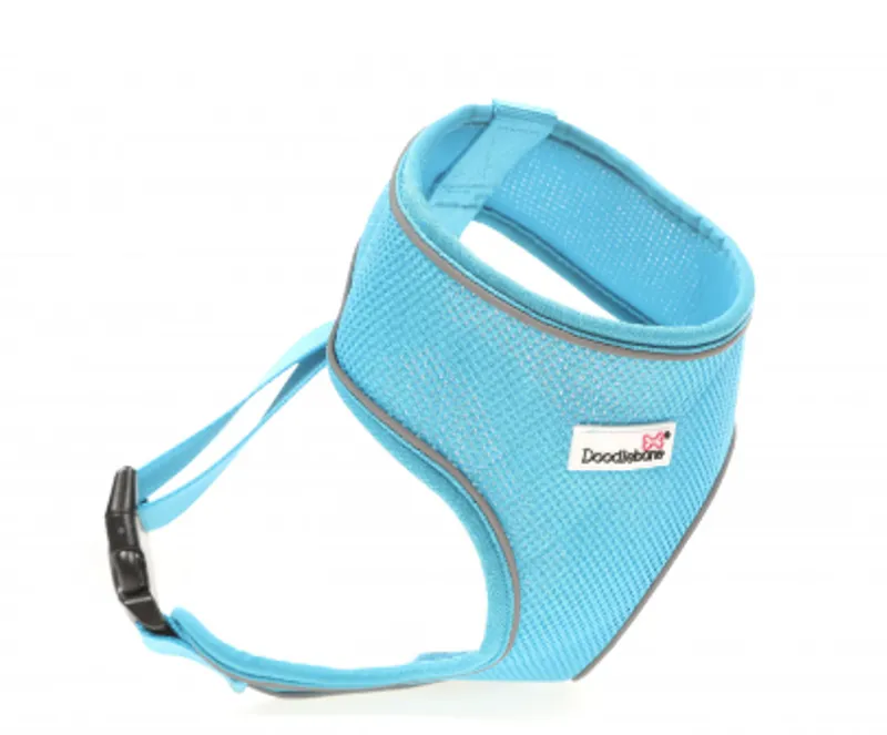 Doodlebone Original Airmesh Harness Aqua